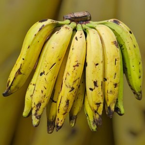 Fruits et légumes
