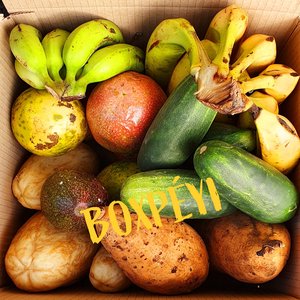 Paniers Boxpéyi