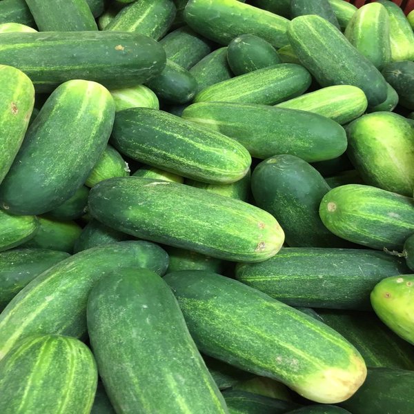 Concombre (1kg)
