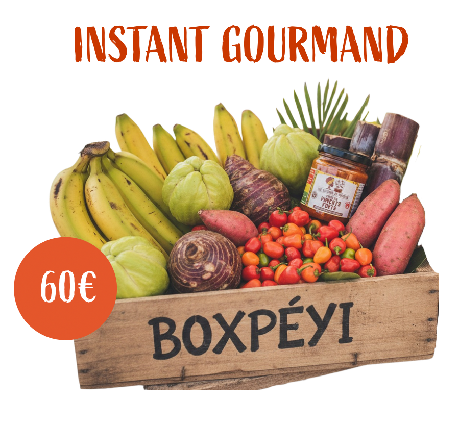 Instant Gourmand